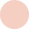 vfx pro camera ready foundation 00 alabaster
