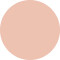 vfx pro camera ready foundation 00 alabaster